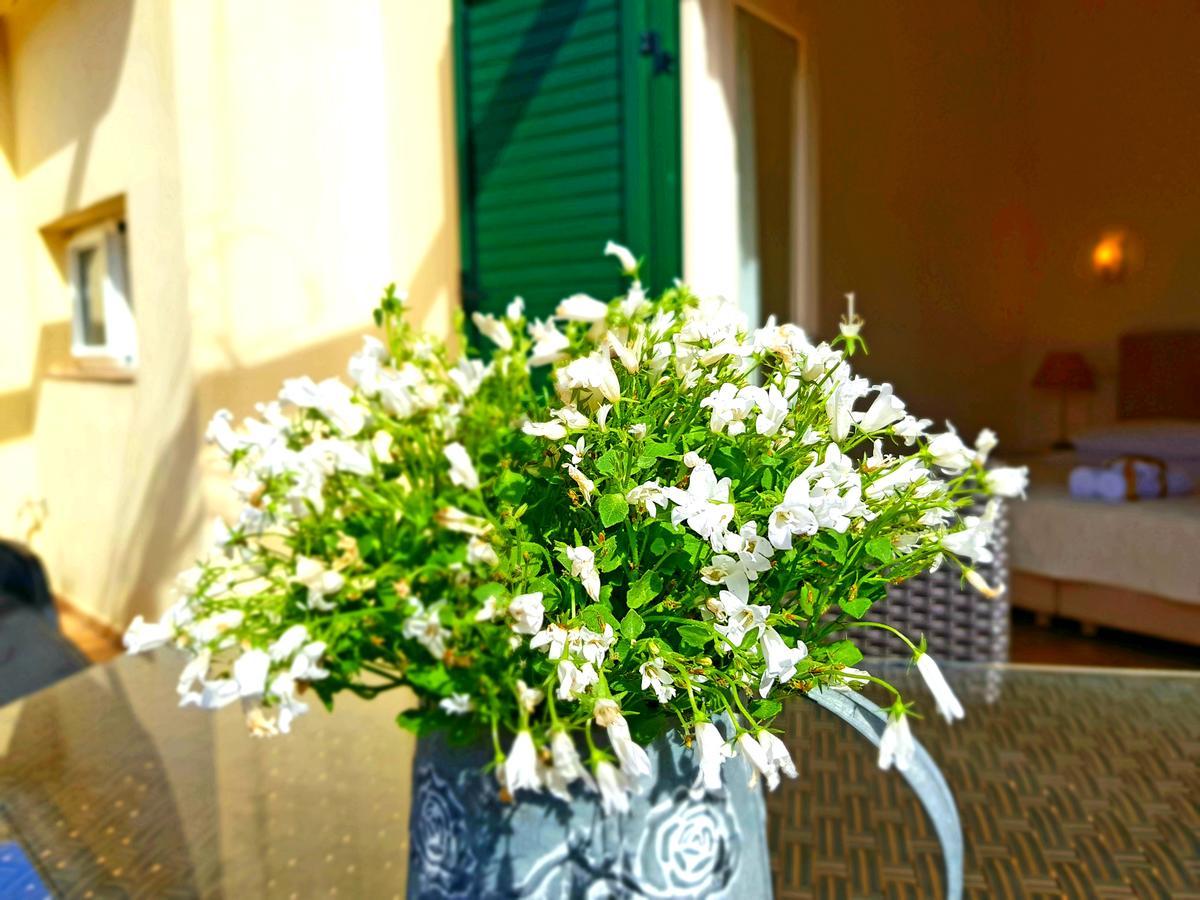 Medulic Palace Rooms & Apartments Sibenik Luaran gambar